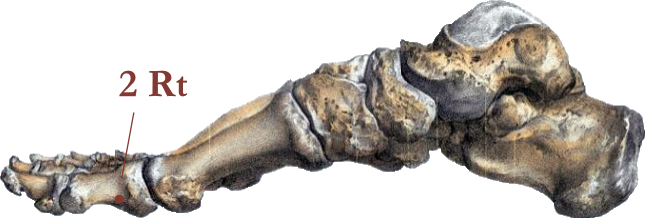 Acupressure Energétique chinoise Ostéo