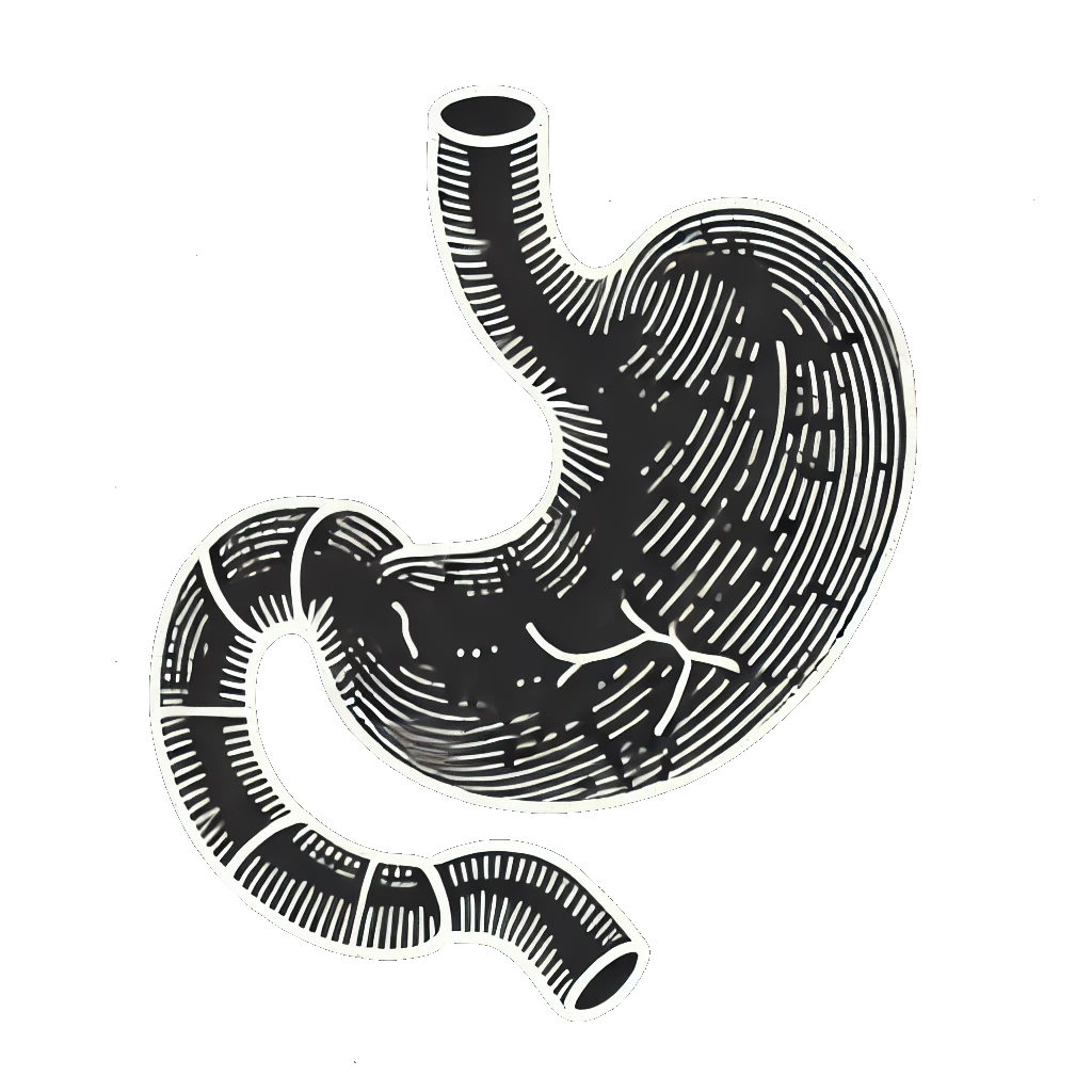 Estomac ostéo viscéral